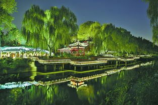 迎新春为北京最美绿色点赞
